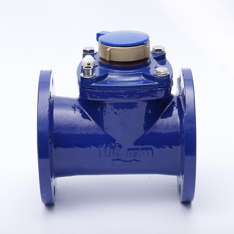 Woltmann Industrial Flange Water Meter